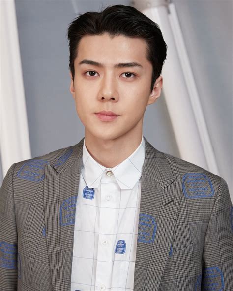 sehun louis vuitton seoul|Louis Vuitton Loves EXO's Sehun So Much They Sent Him A.